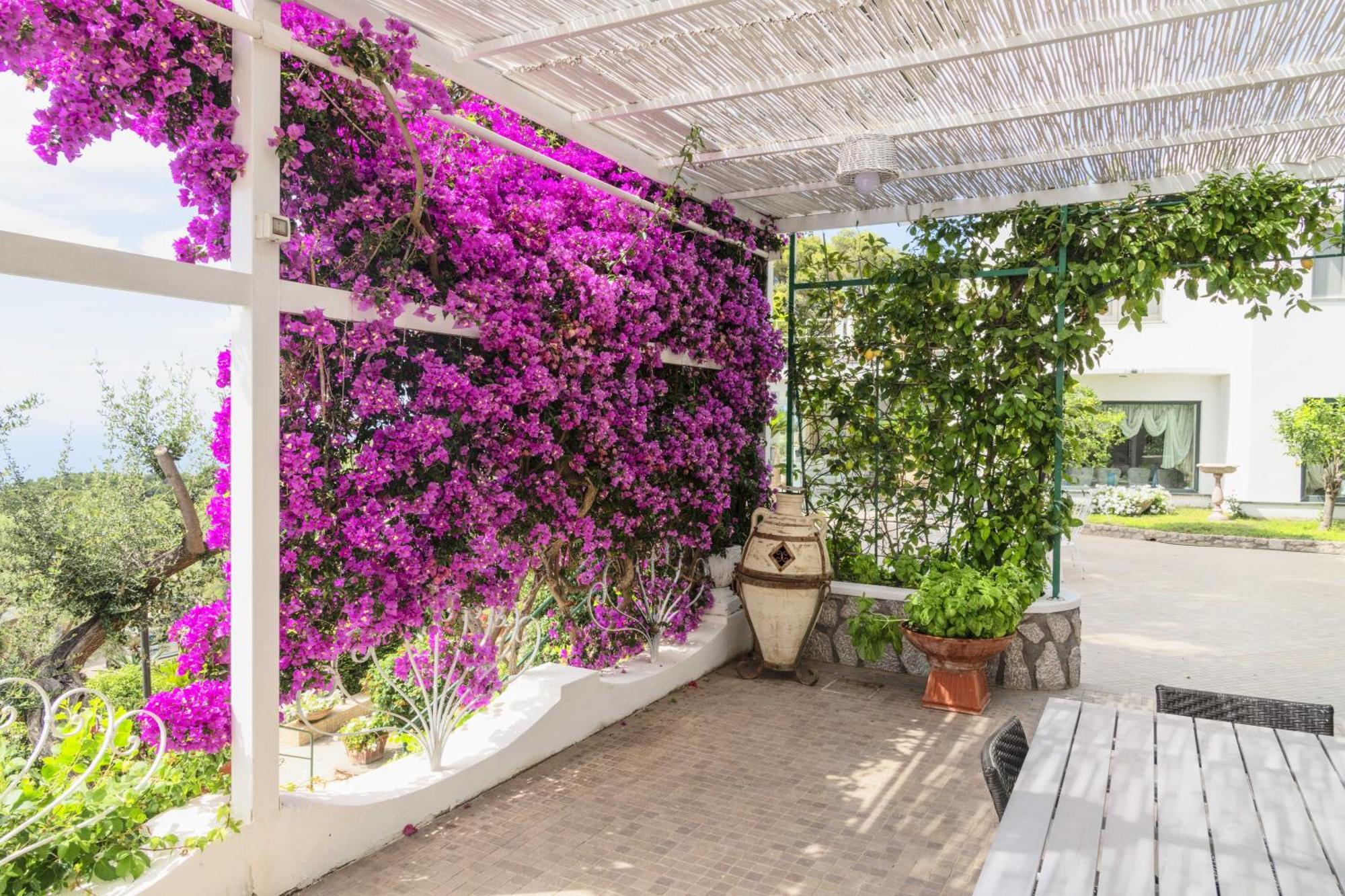 La Canostra Capri - Luxury Room Ad Anacapri Exterior photo